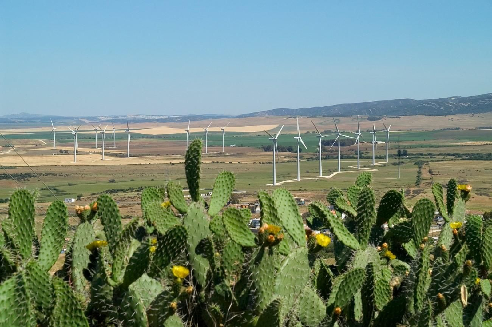 Statkraft implanta 24 medidas ambientales en sus proyectos renovables en España con el objetivo de preservar la biodiversidad