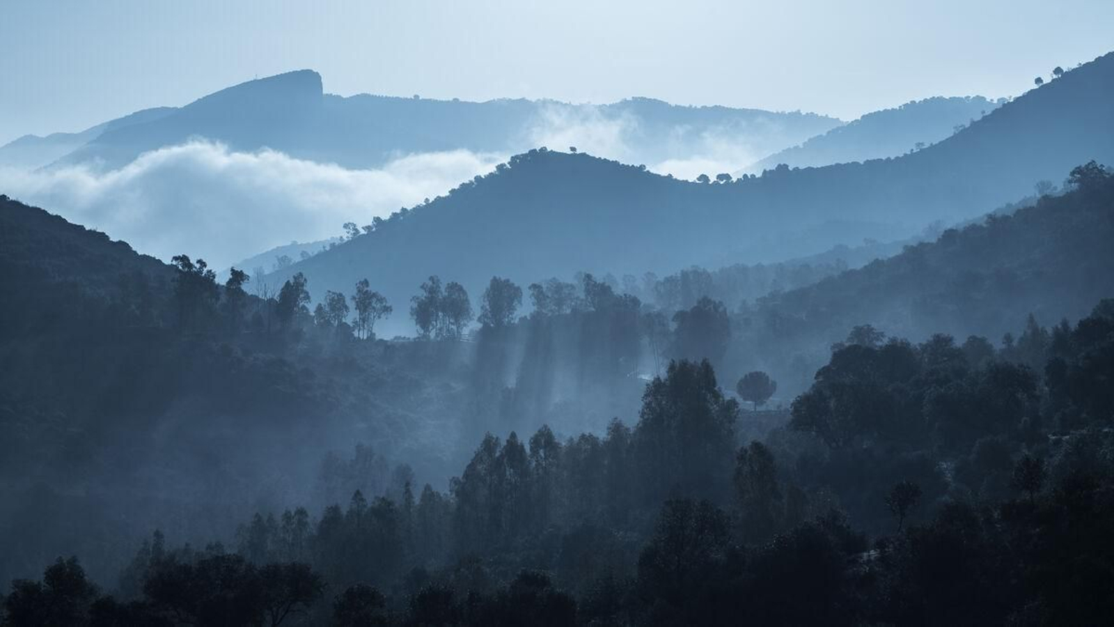 Montes de Sierra Morena