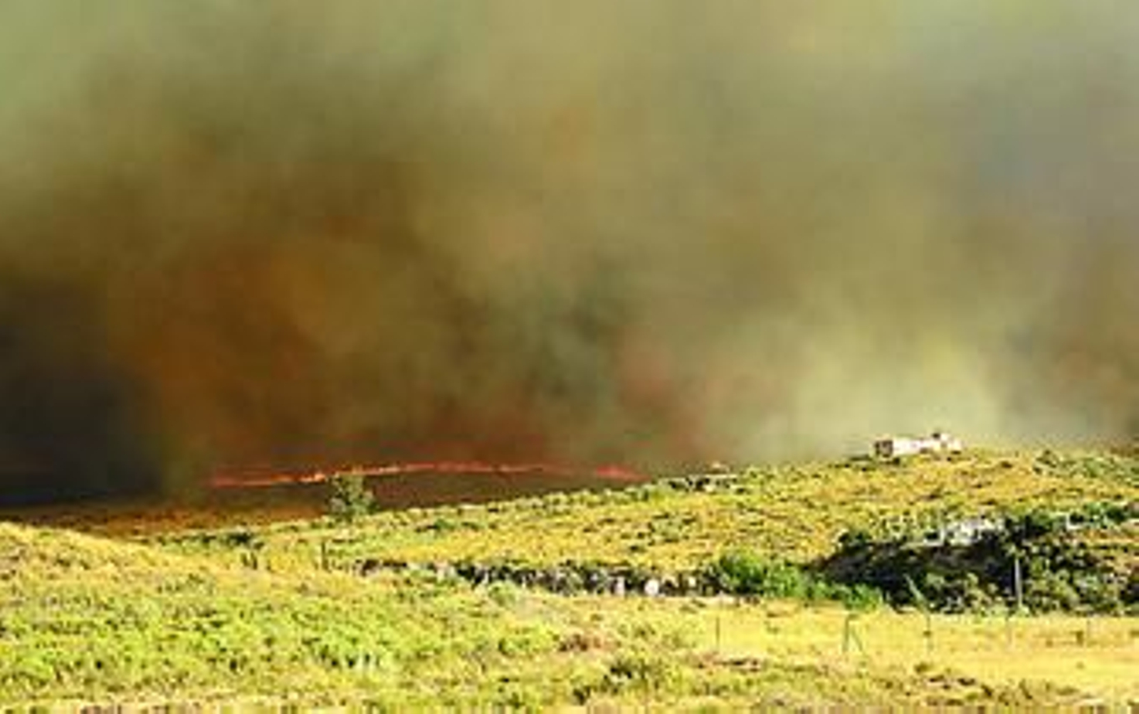 Las llamas avanzan veloces y devoran cortijos que se encuentran a su paso.