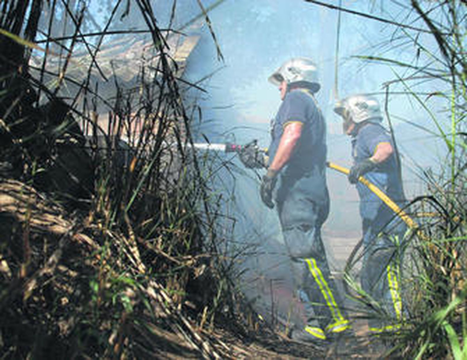 Momento en el que los bomberos realizan las labores de extinción del fuego.