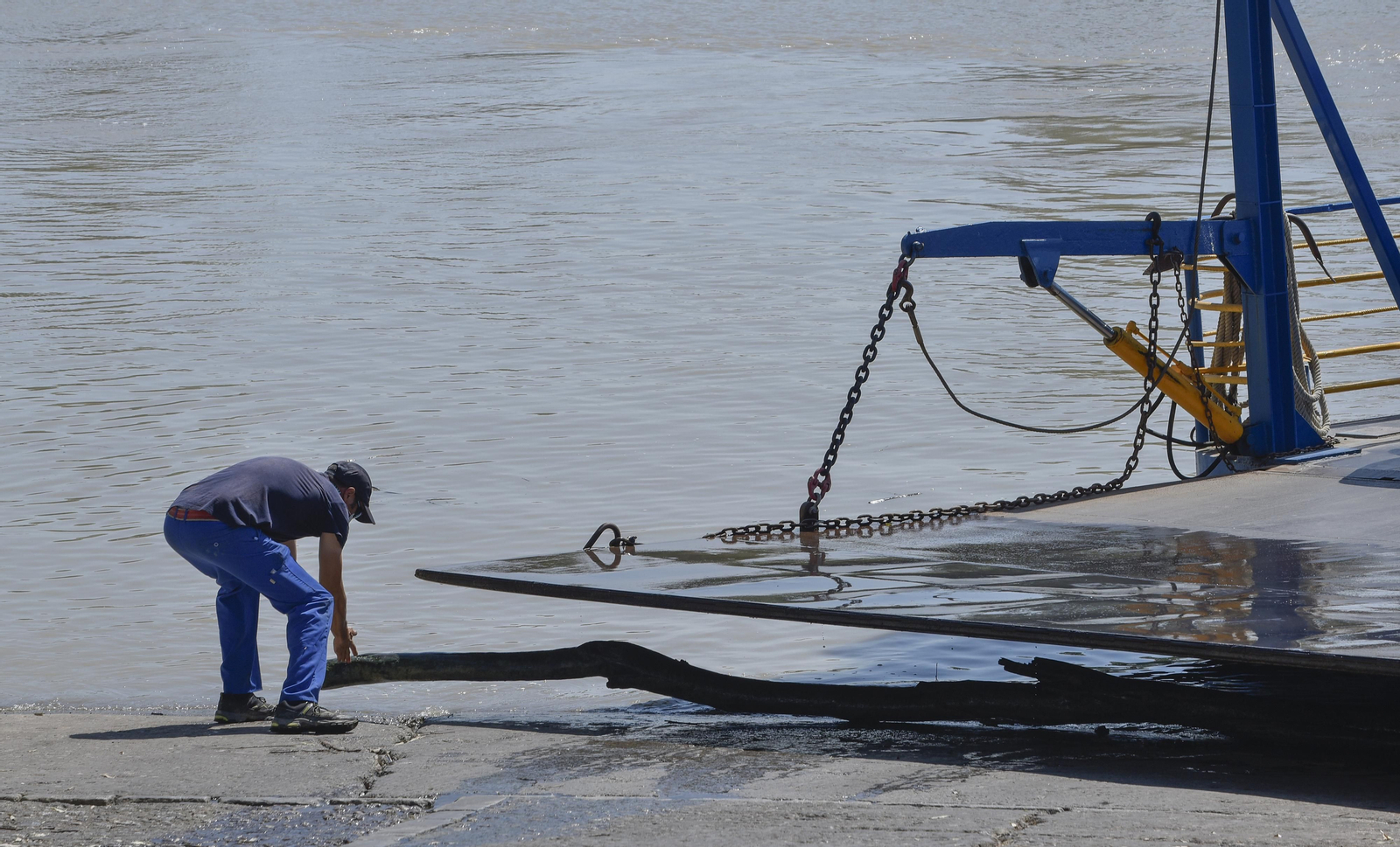 Virus del Nilo: la resistencia en los vecinos de Coria y Puebla del Río
