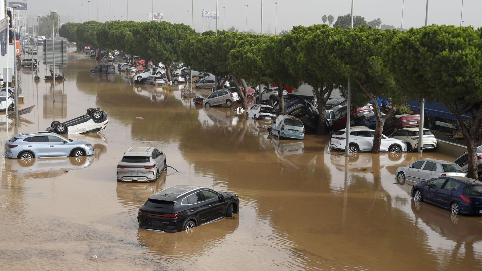 El área Metropolitana de Valencia hace balance de los daños por la DANA