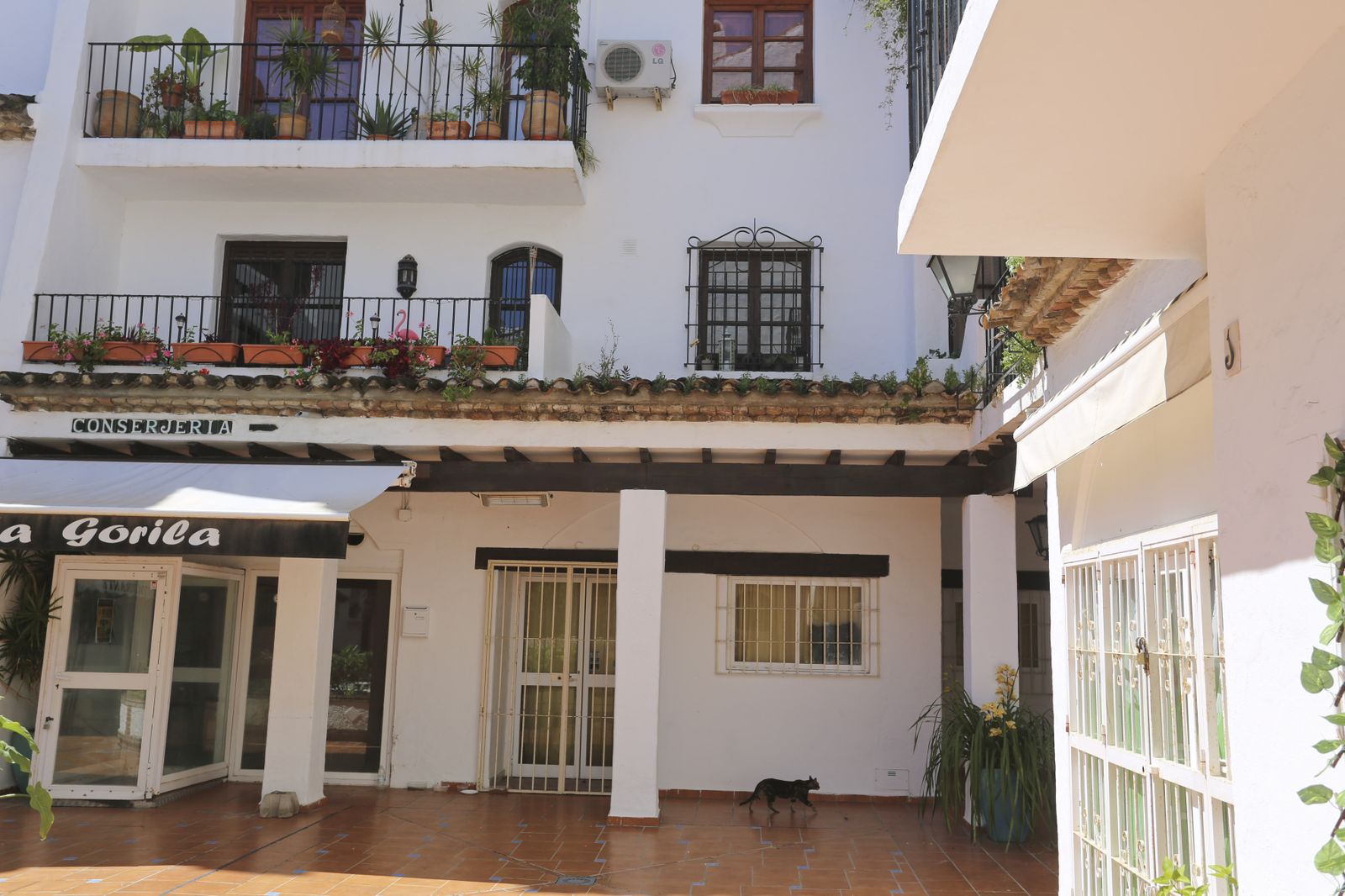 Fotos del Torremolinos menos turístico por culpa del coronavirus