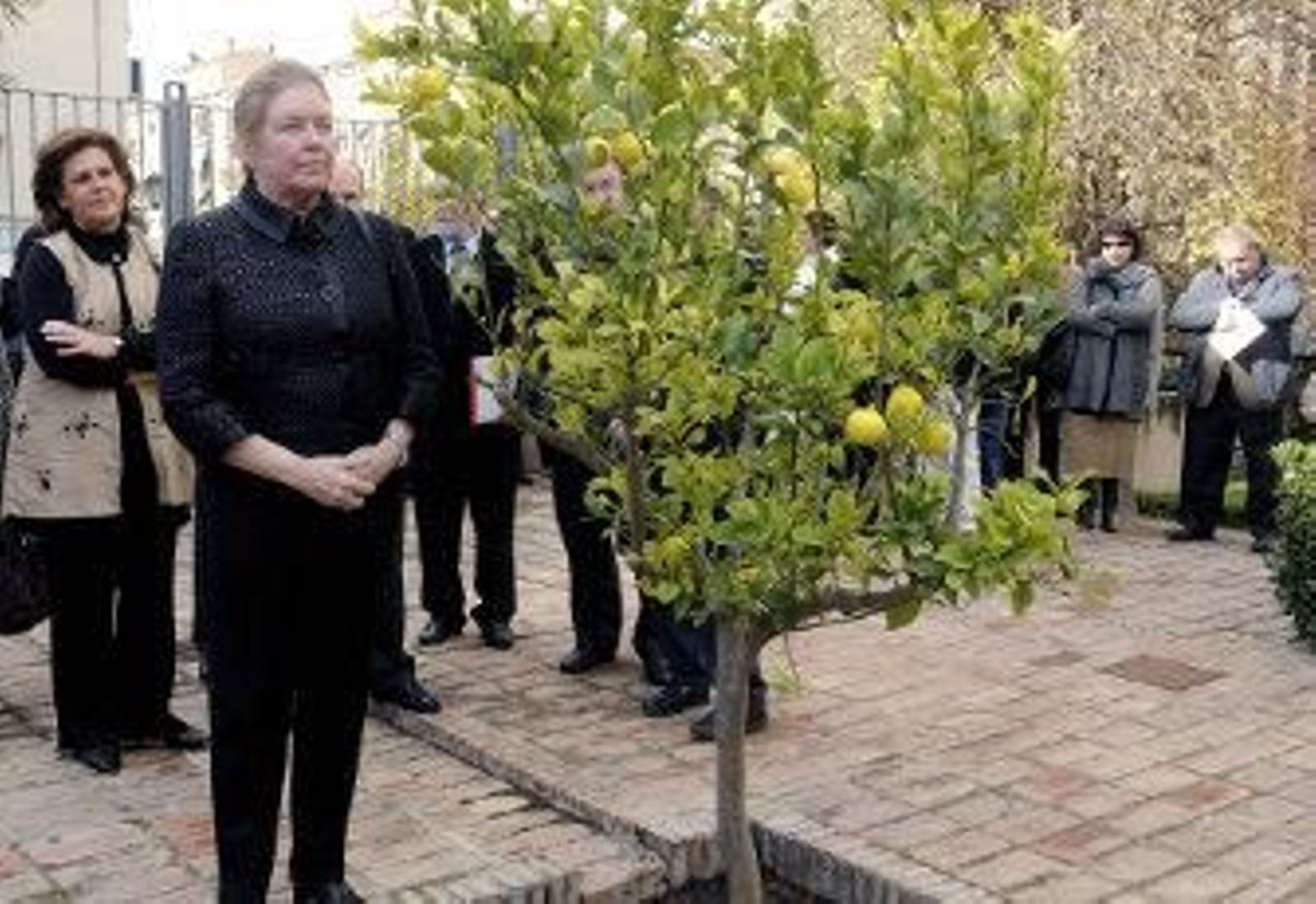 Las cenizas de Ayala ya reposan bajo el limonero de su Fundación