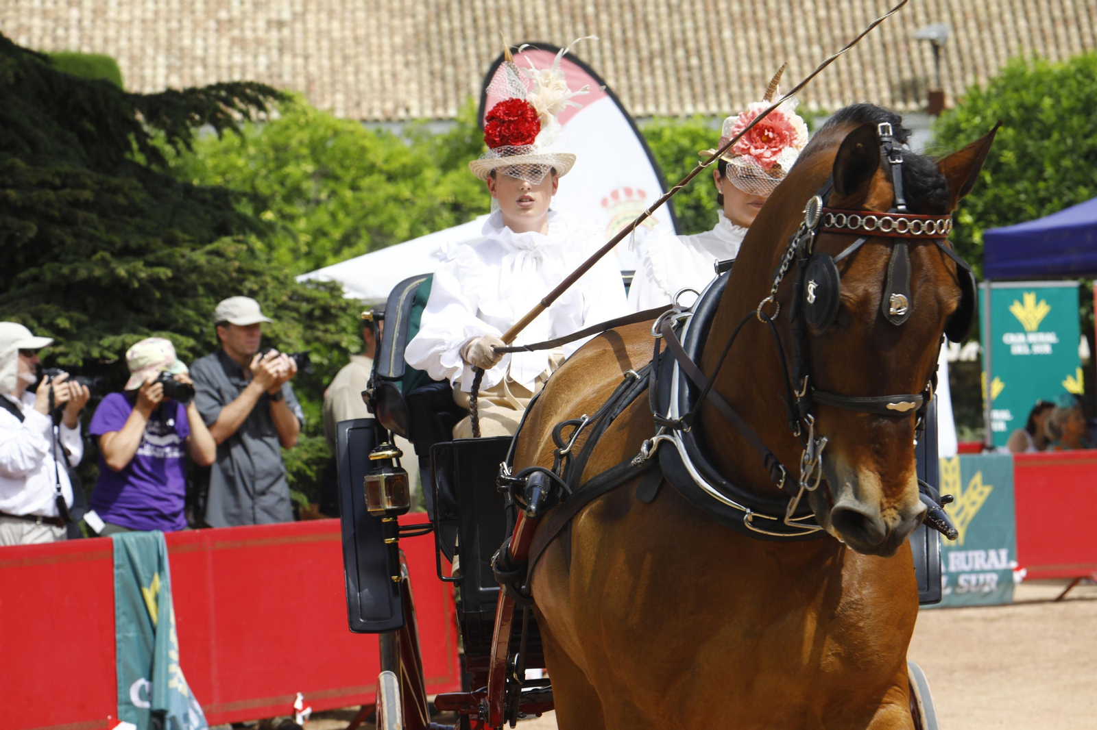 La Exhibición de Carruajes de Tradición de la Feria de Córdoba, en imágenes