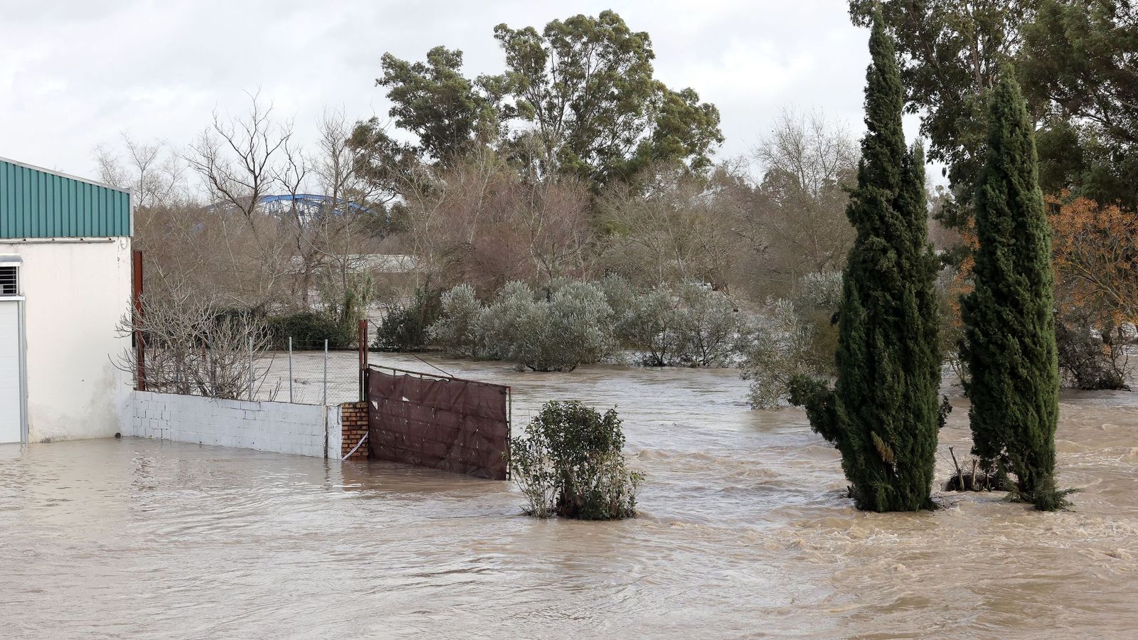 Así afronta la zona rural de Jerez la subida del río Guadalete