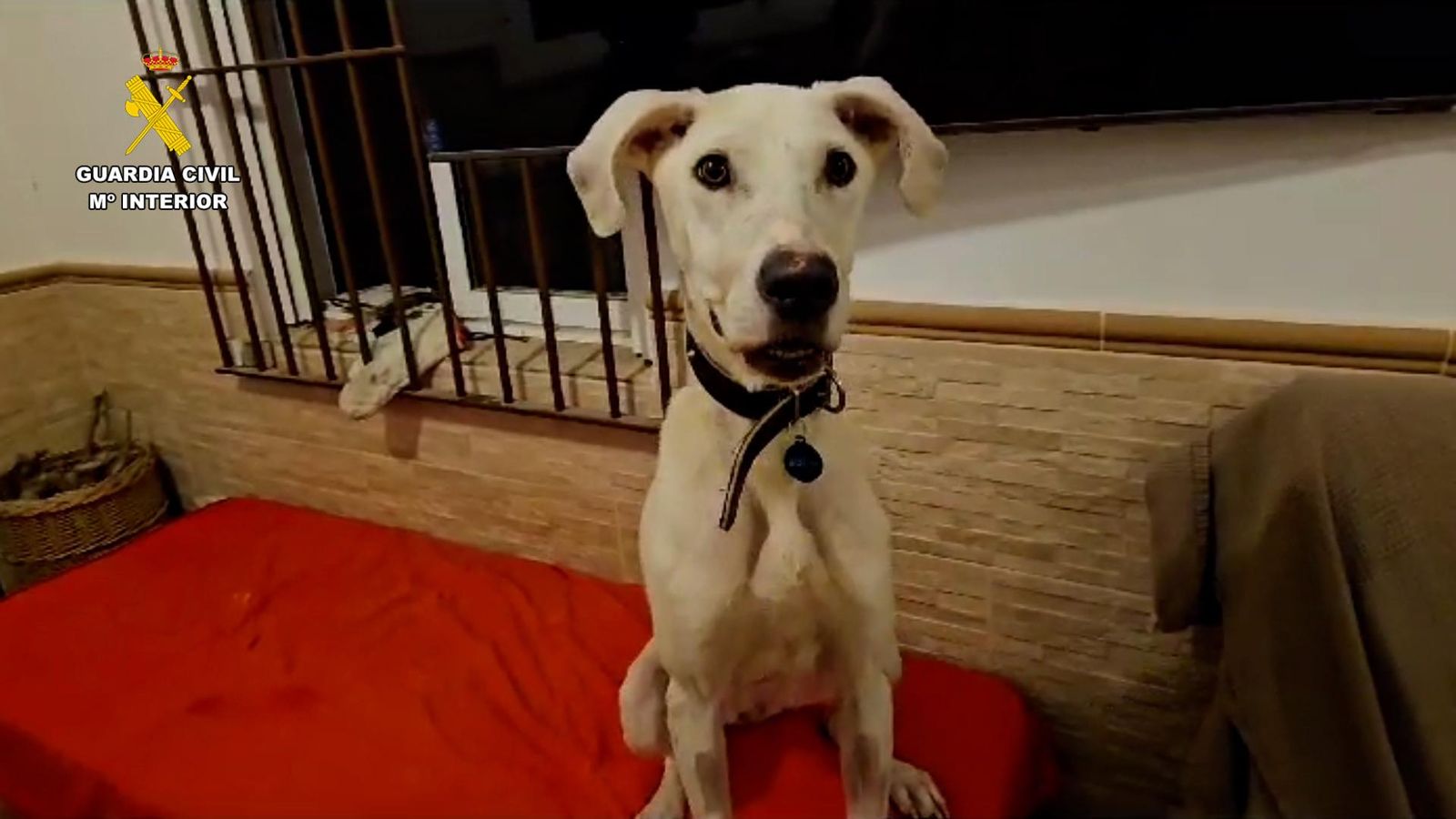 'Vida' se encuentra ya en buen estado.