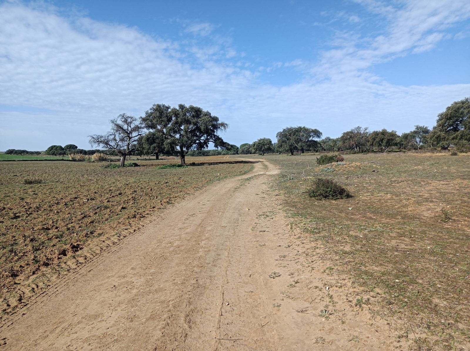 El paraje de El Puntal tiene mucha menos vegetación.