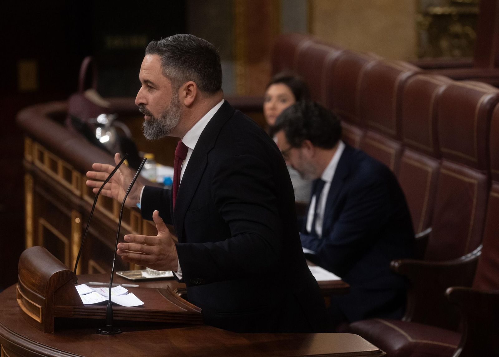 El líder de Vox, Santiago Abascal, en la tribuna del Congreso.