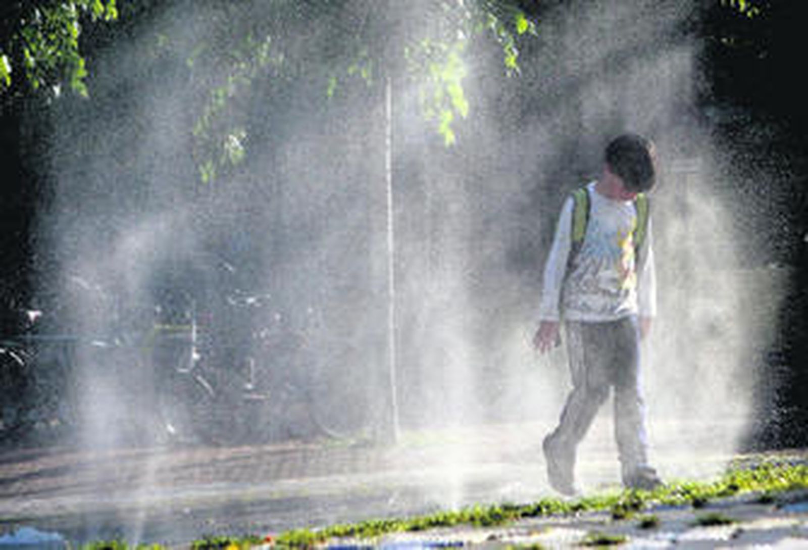 Mayo comienza a 'mayear'