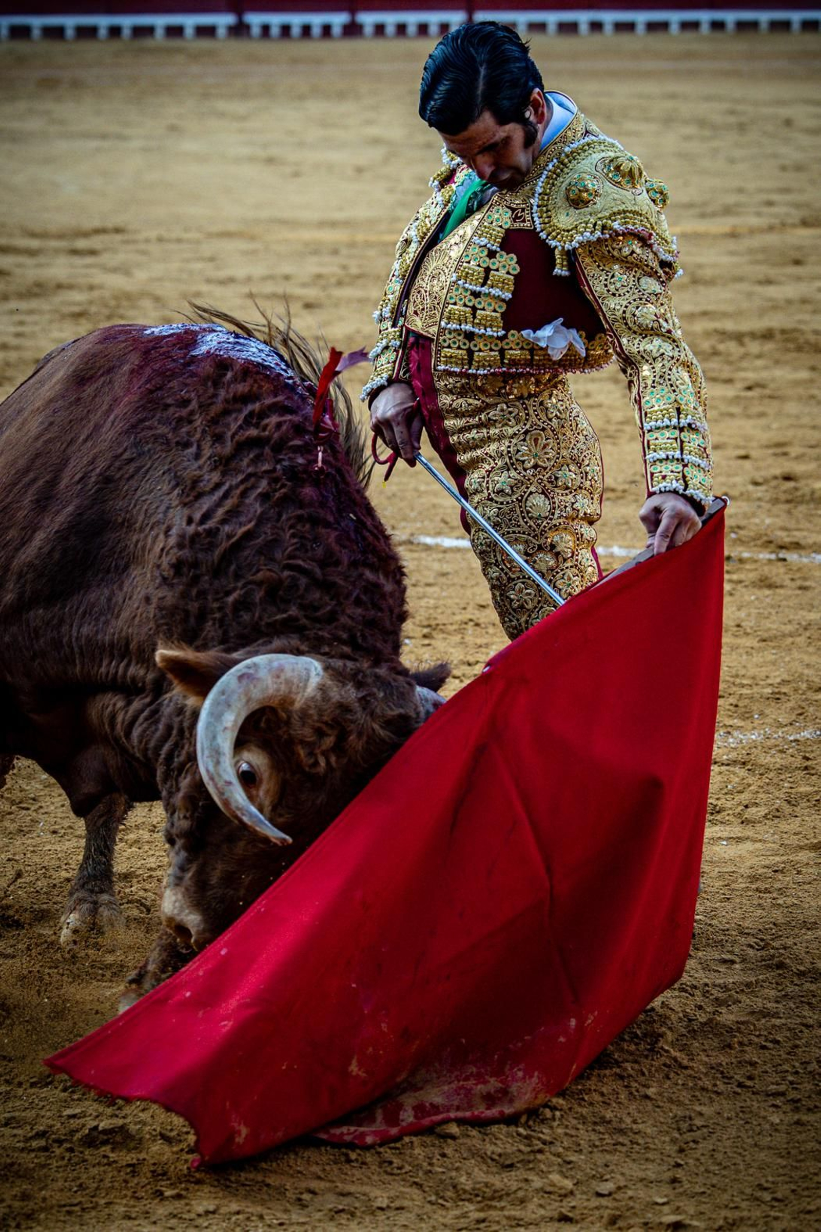 Las imágenes de la corrida de toros en El Puerto: Morante, Talavante y Juan Ortega