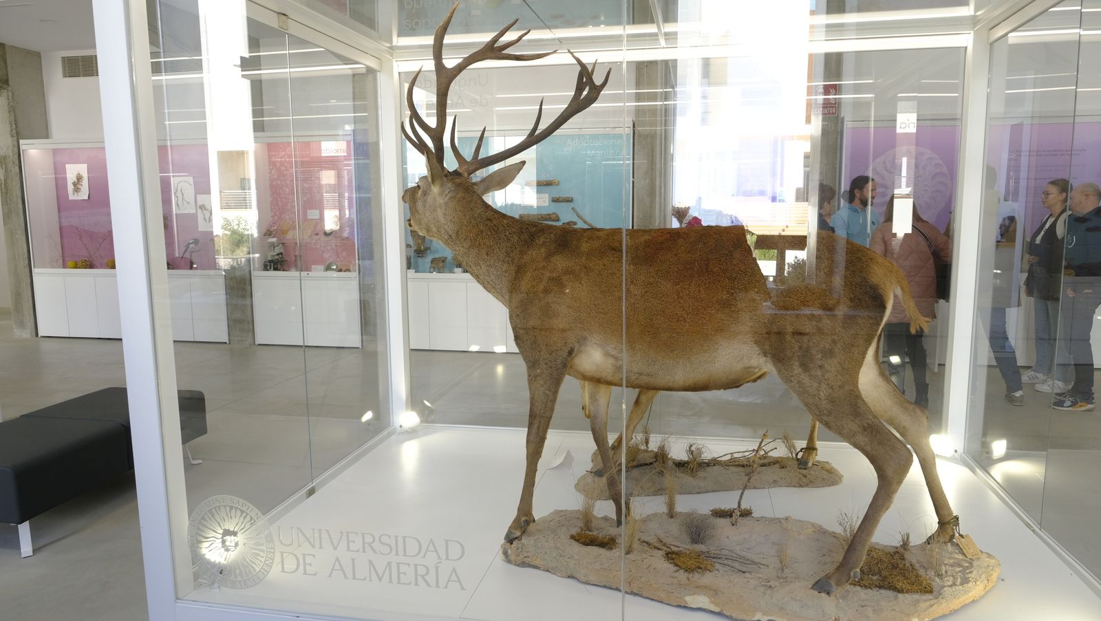 Las mejores imágenes del Pabellón de Historia Natural de la UAL