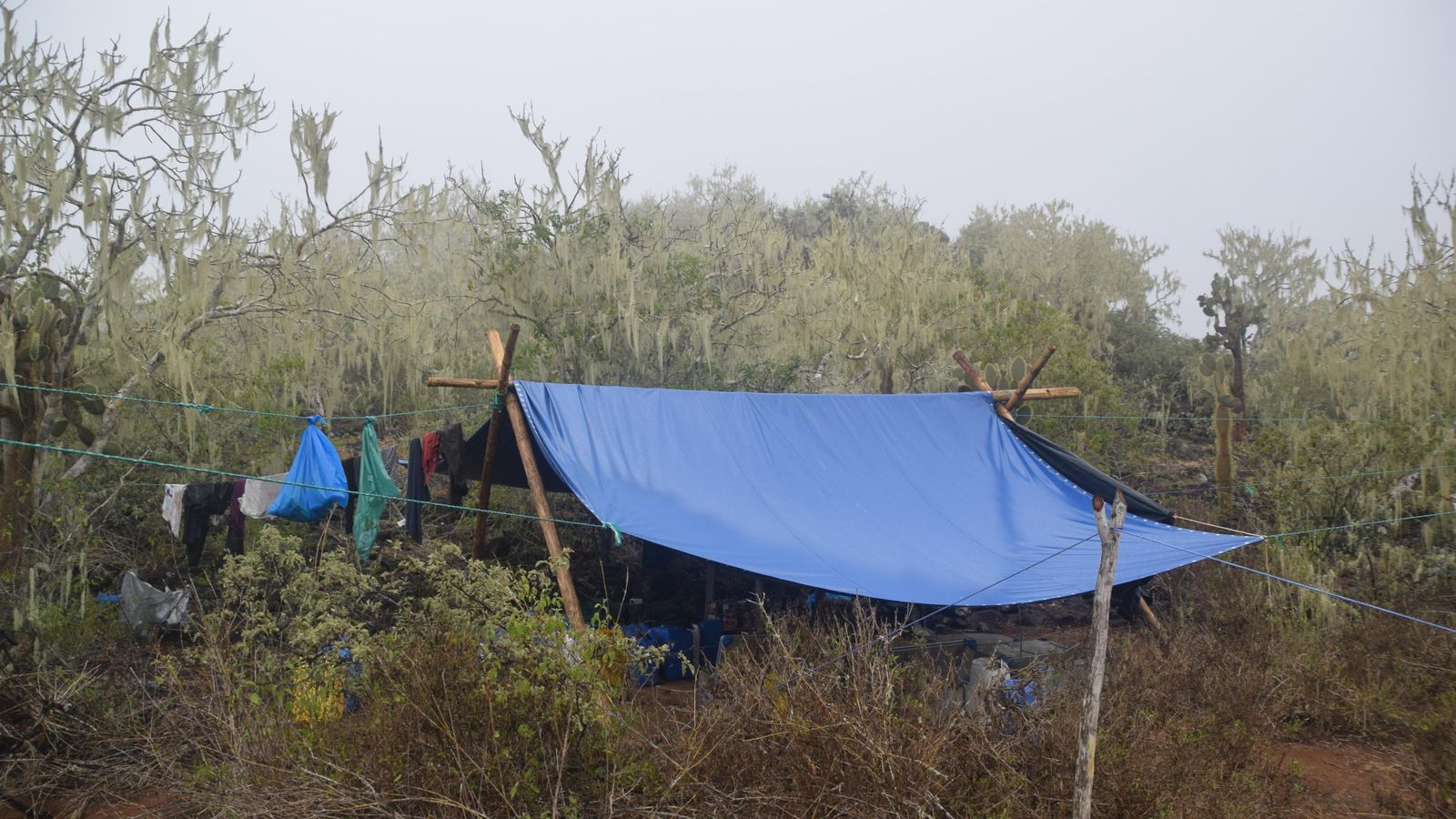 Vista del sitio en el que ha vivido Bárbara Sellés en la isla.