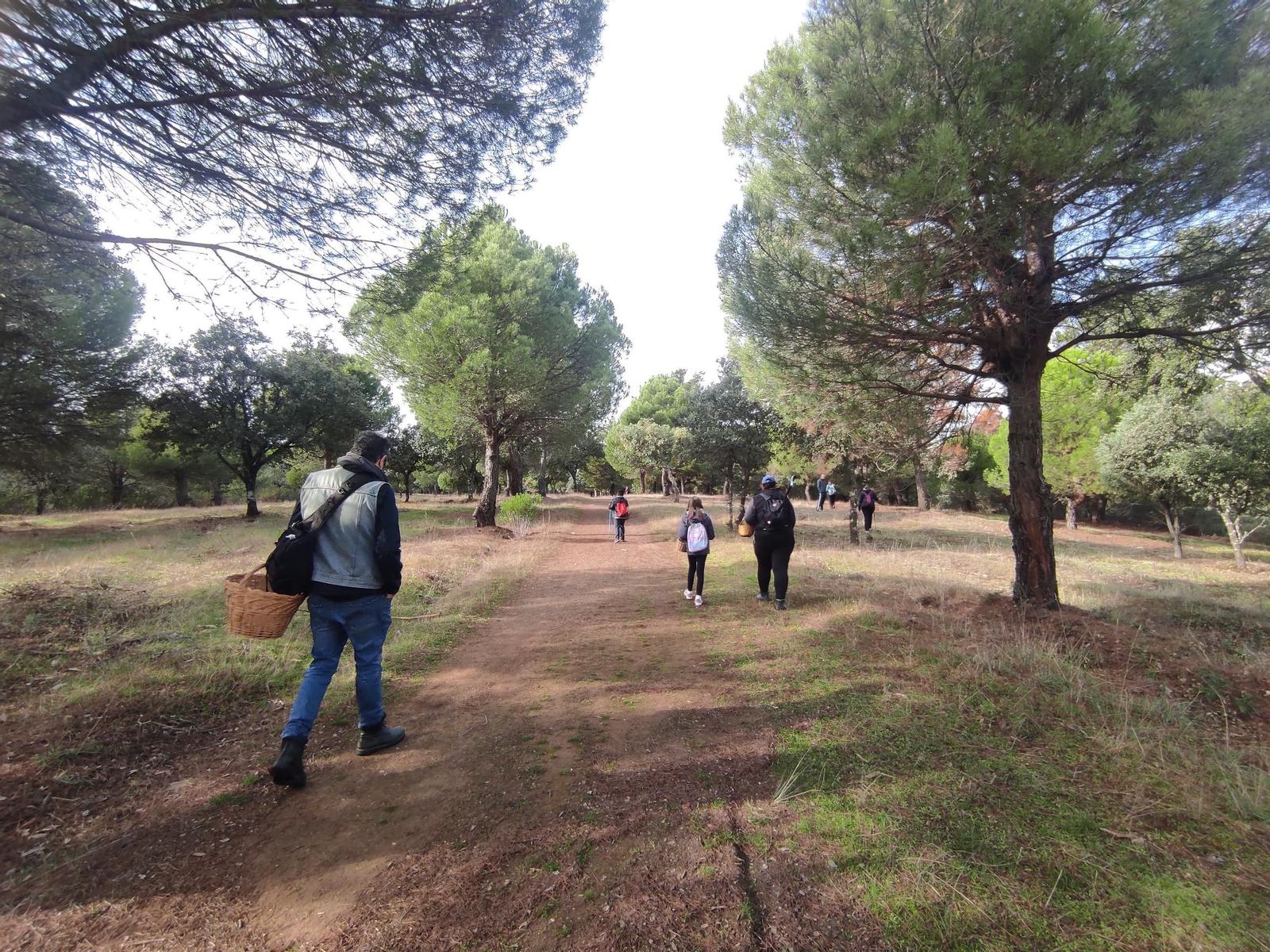 Ruta senderista para recolectar hasta diez tipos de setas diferentes en Despeñaperros