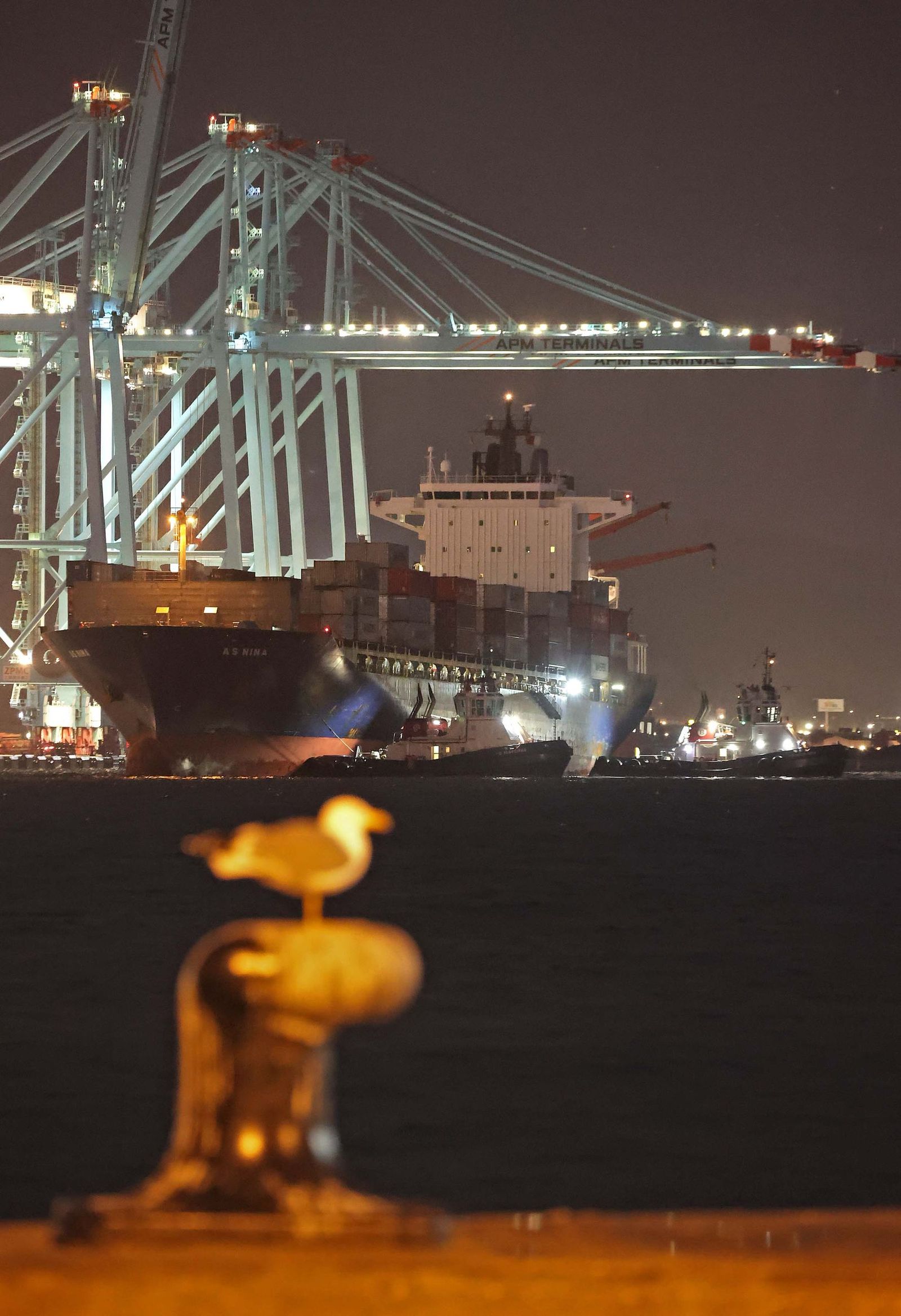 AS NINA APM ERASMO (127)