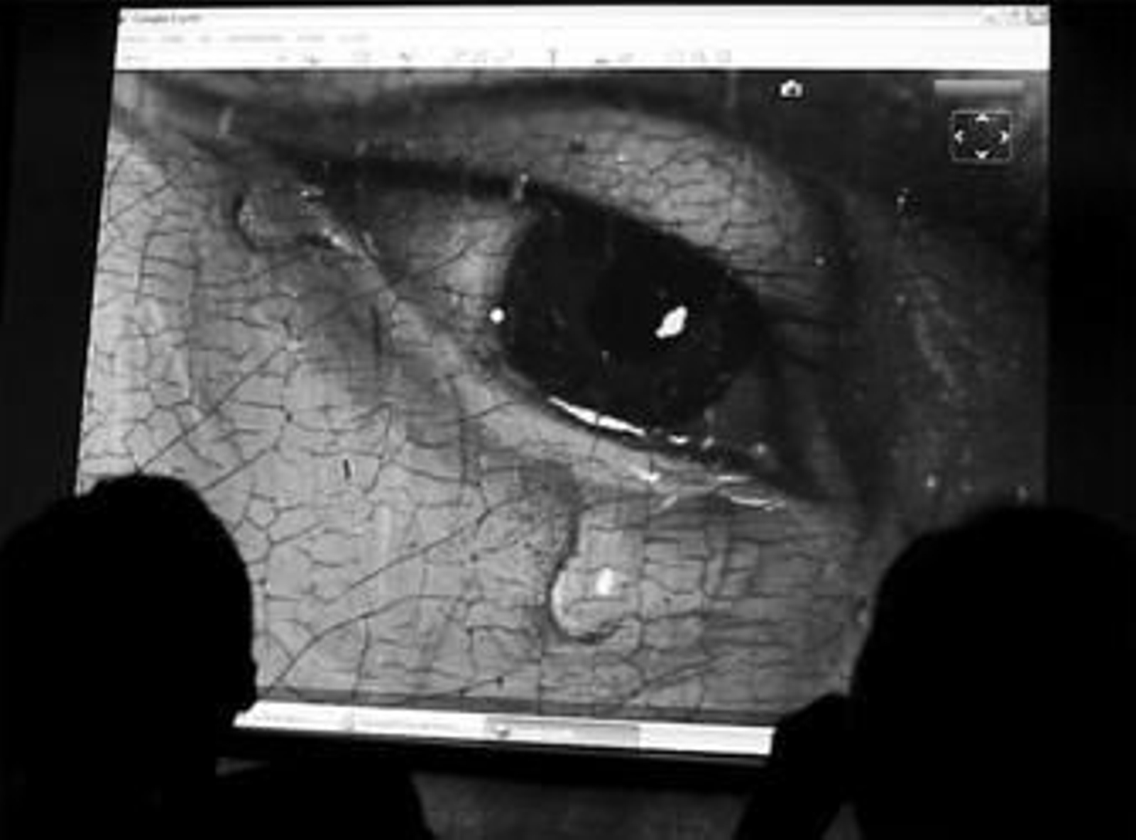 Detalle del cuadro 'El Descendimiento' como se puede ver a través de internet.