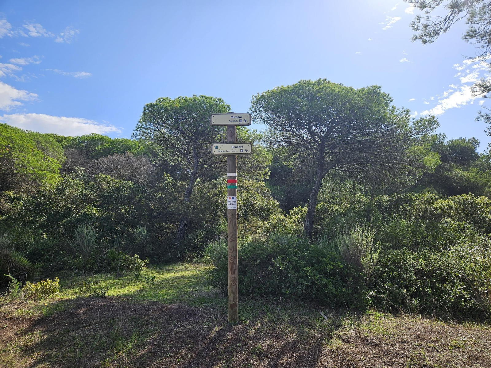 Sendero Torre del Tajo