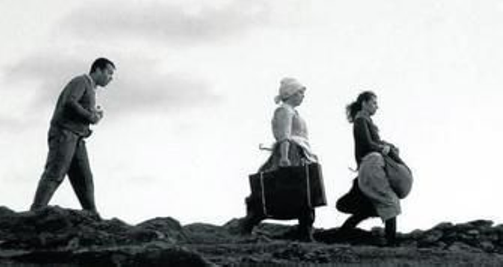 'Memoria de los olivos' en el Palillero