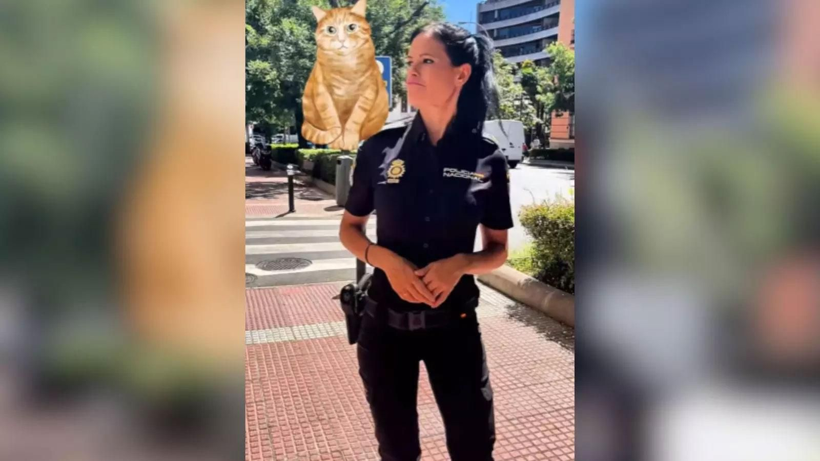 La Policía Nacional lanza una alerta por la cara estafa del gato.
