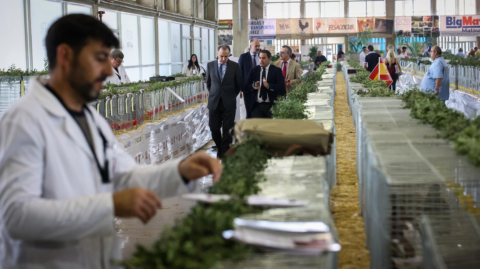 Comienza la feria de la ganadería y la agricultura en IFECA