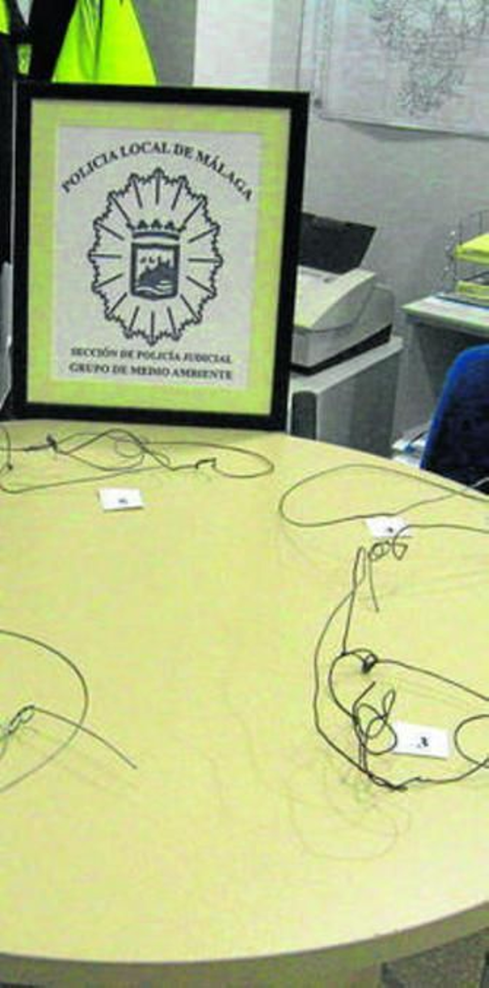 Algunos de los lazos decomisados.