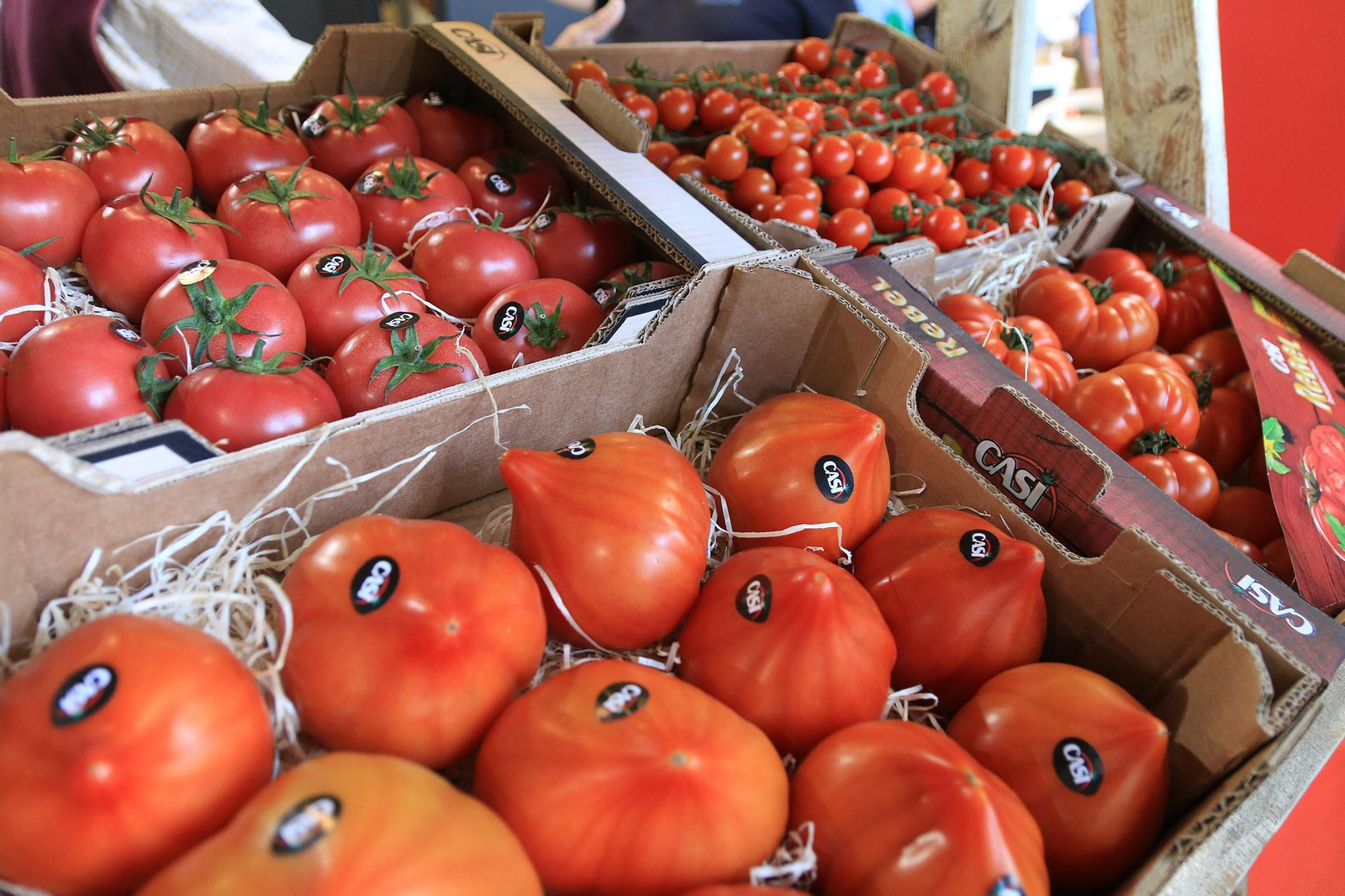 Inauguración de la Infoagro Exhibition 2023