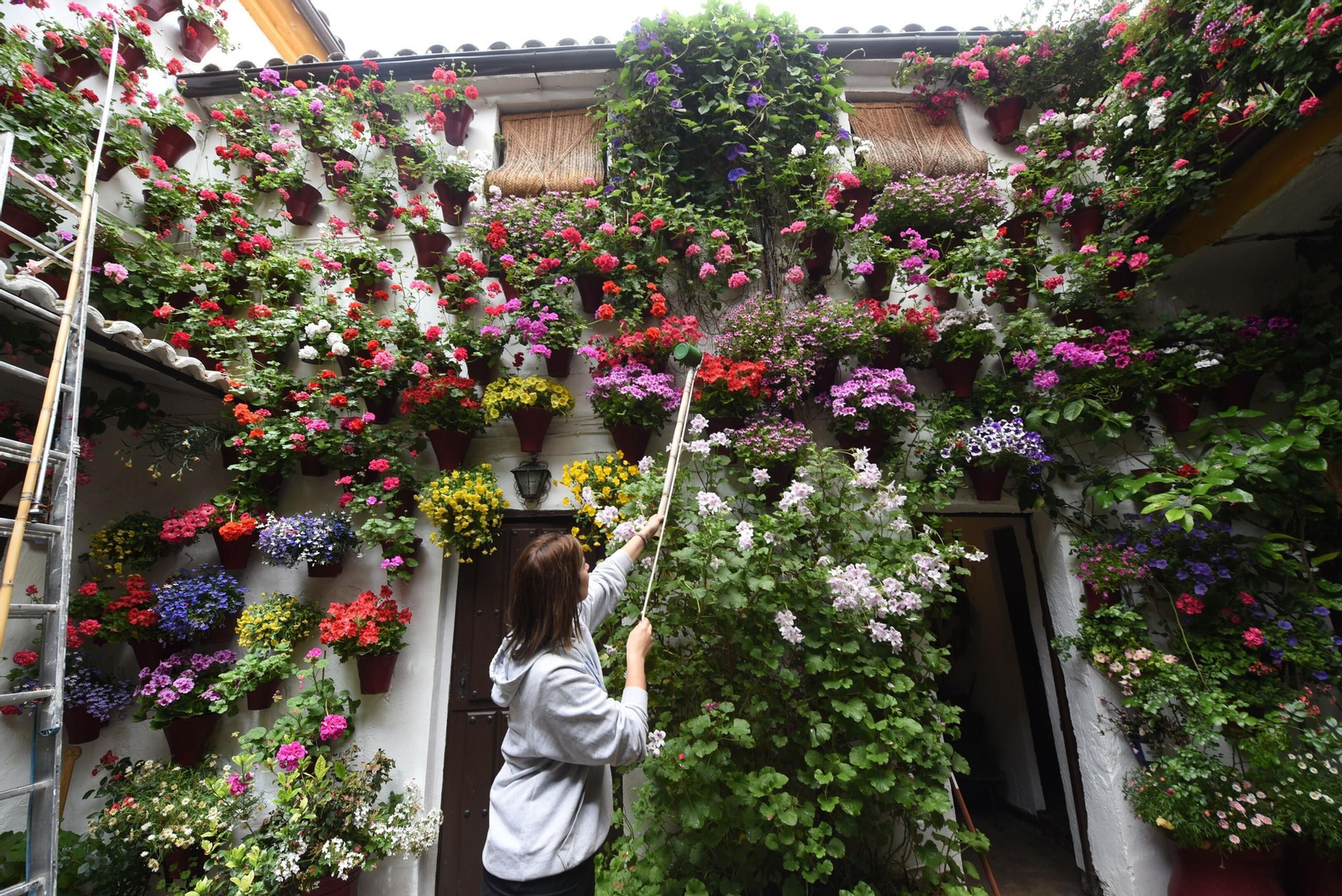 Carmen Ibáñez ultima los preparativos en su patio de San Basilio, 14