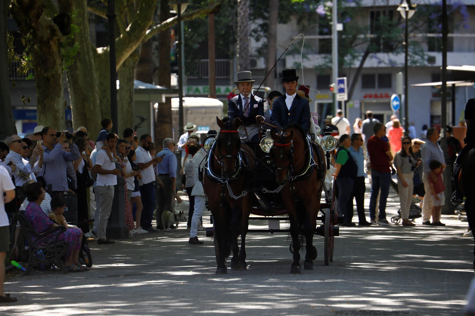 La exhibición de carruajes de tradición Nuestra Señora de la Salud, en imágenes