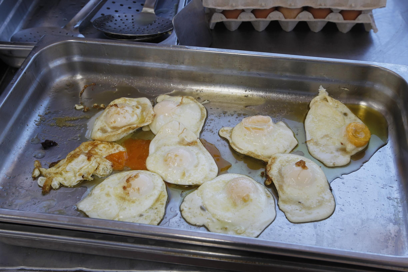 Fotogalería Día de Balanegra