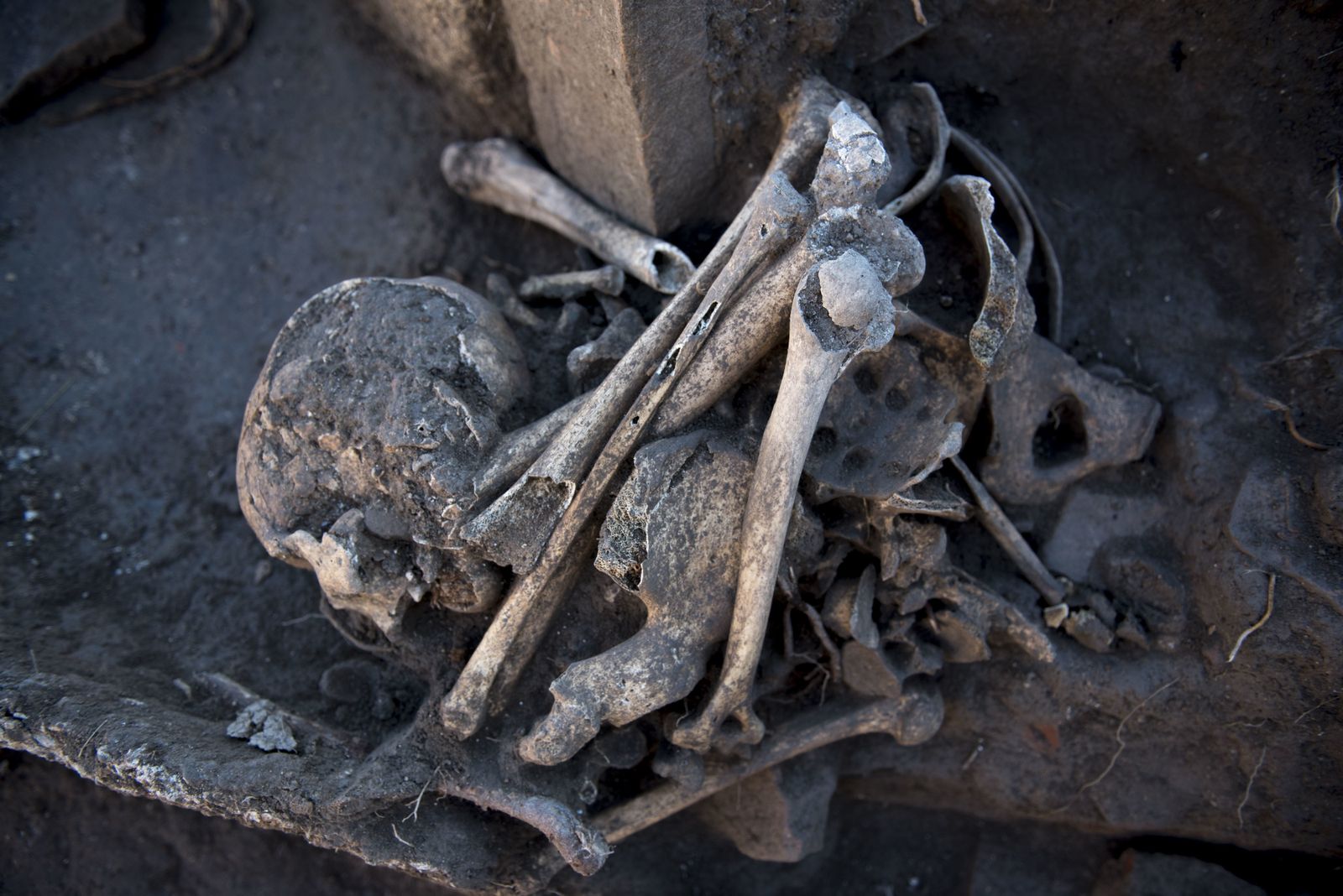 Nuevos hallazgos en Los Mondragones