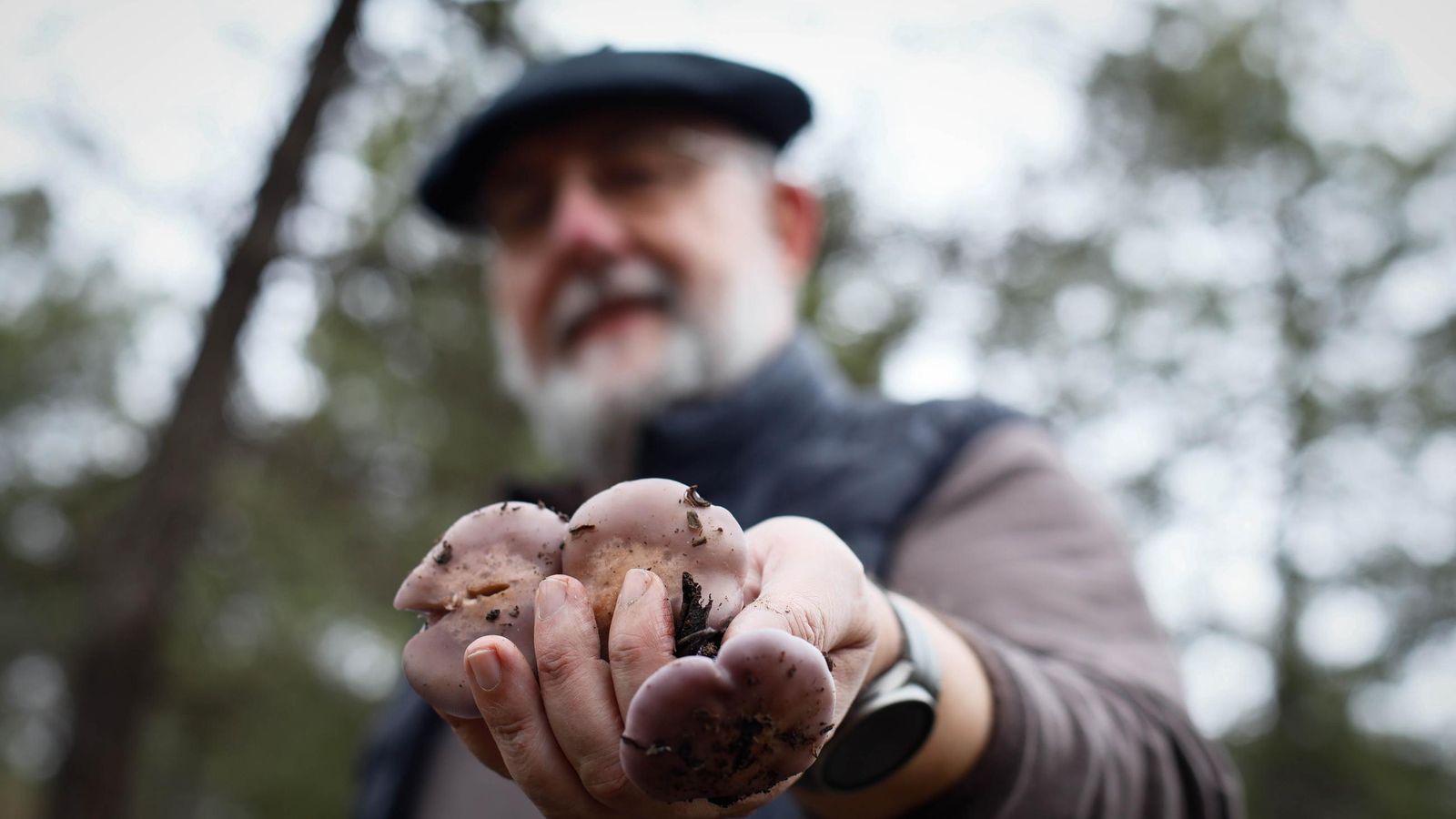 Los montes de la Sierra Nevada almeriense albergan multitud de especies de hongos.