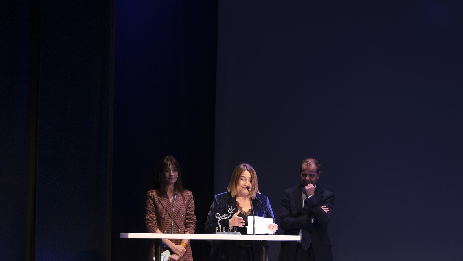 Imágenes de la Gala del Audivisual Almeriense. FICAL 2023