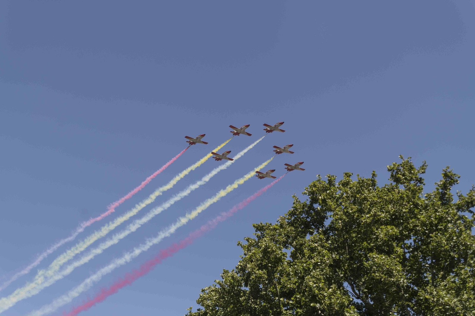 Las imágenes del desfile del Día de las Fuerzas Armadas en Sevilla