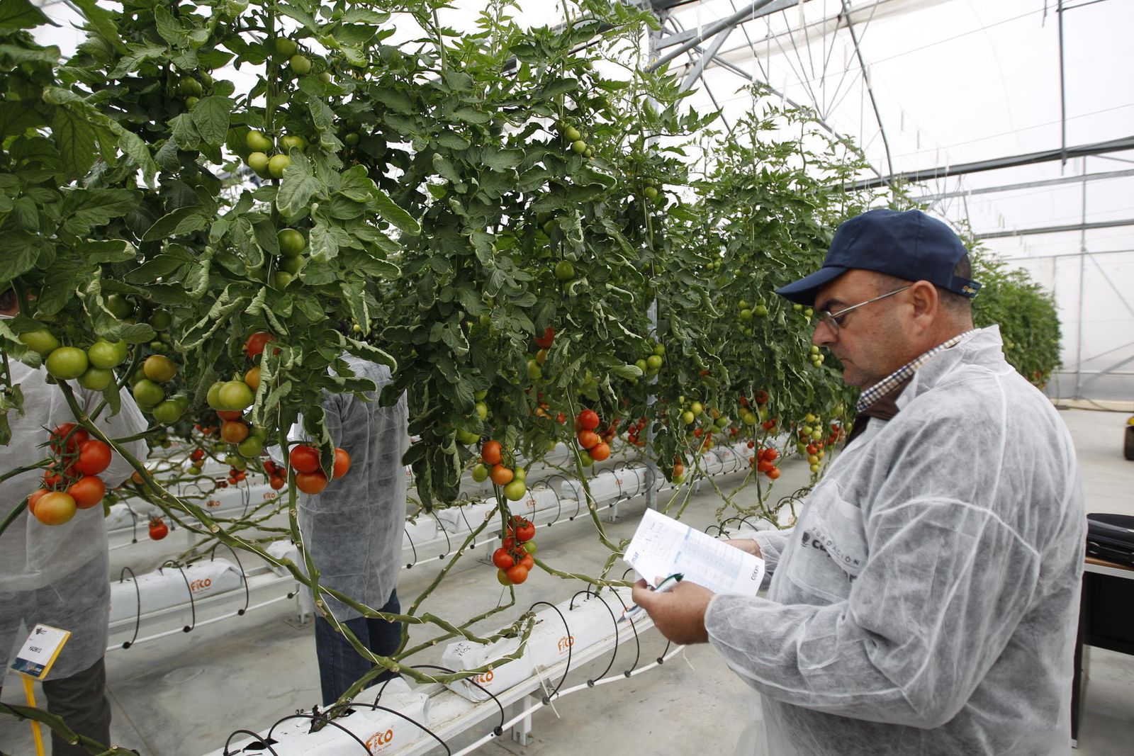 La Estación Experimental Las Palmerillas de la Fundación Cajamar trabaja de manera incesante en el desarrollo de I+D para la agricultura.