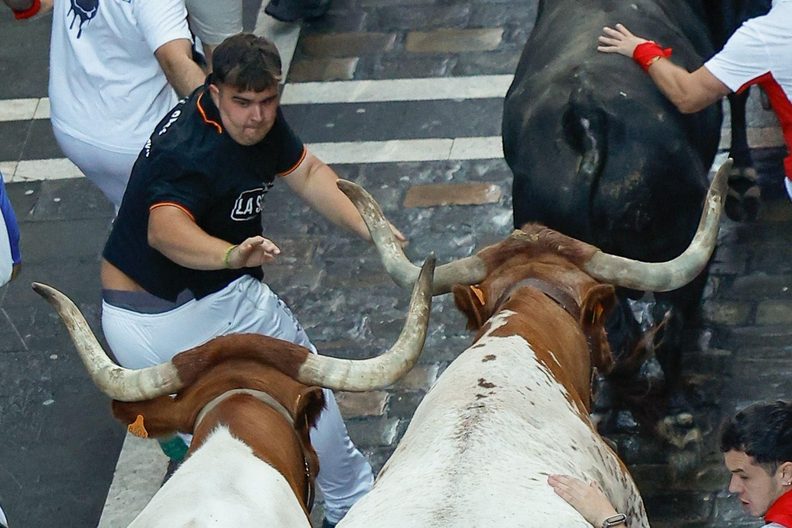 La bravura de Tarifa se hace notar en Pamplona: tres heridos en un encierro con toros de La Palmosilla