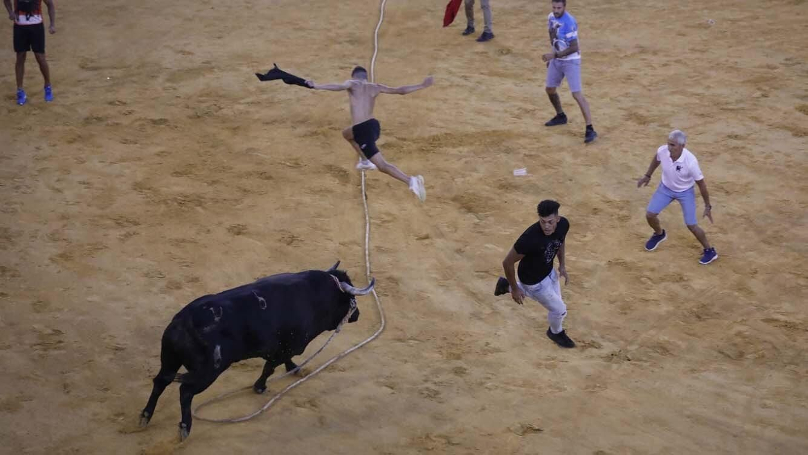 Las fotos del Toro del Aguardiente de San Roque