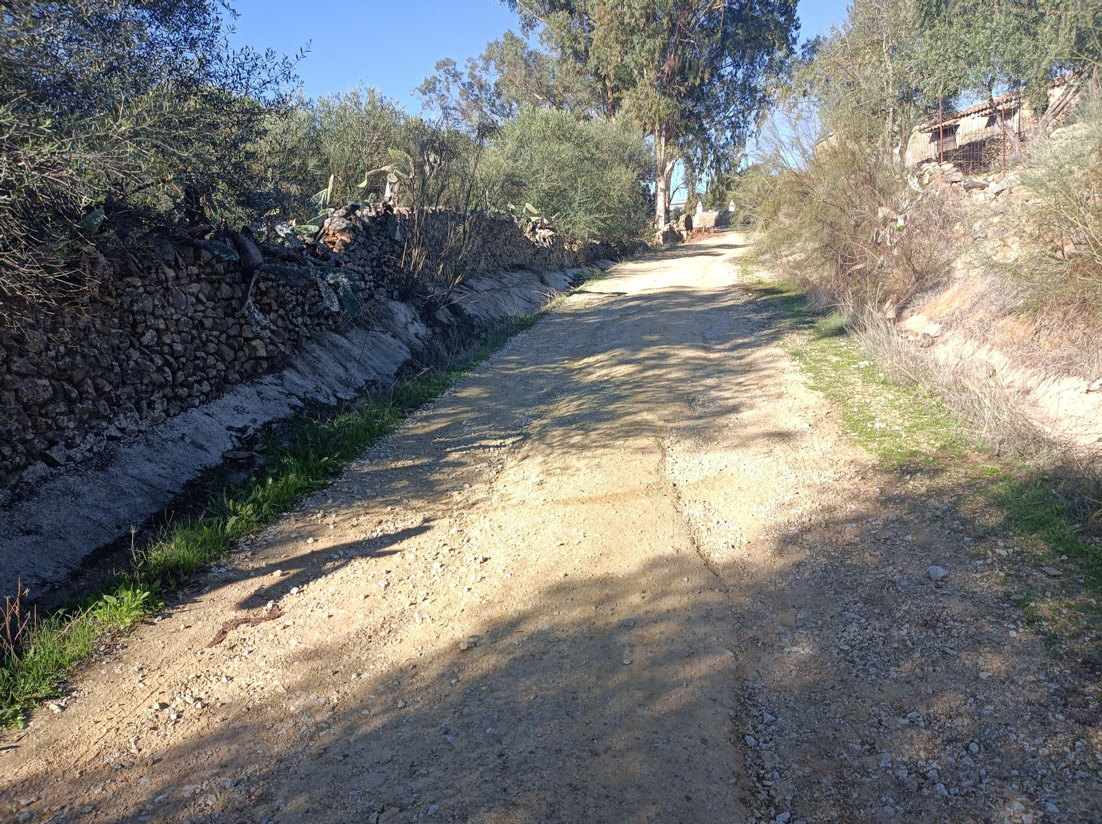 Ruta de Las Cañadillas
