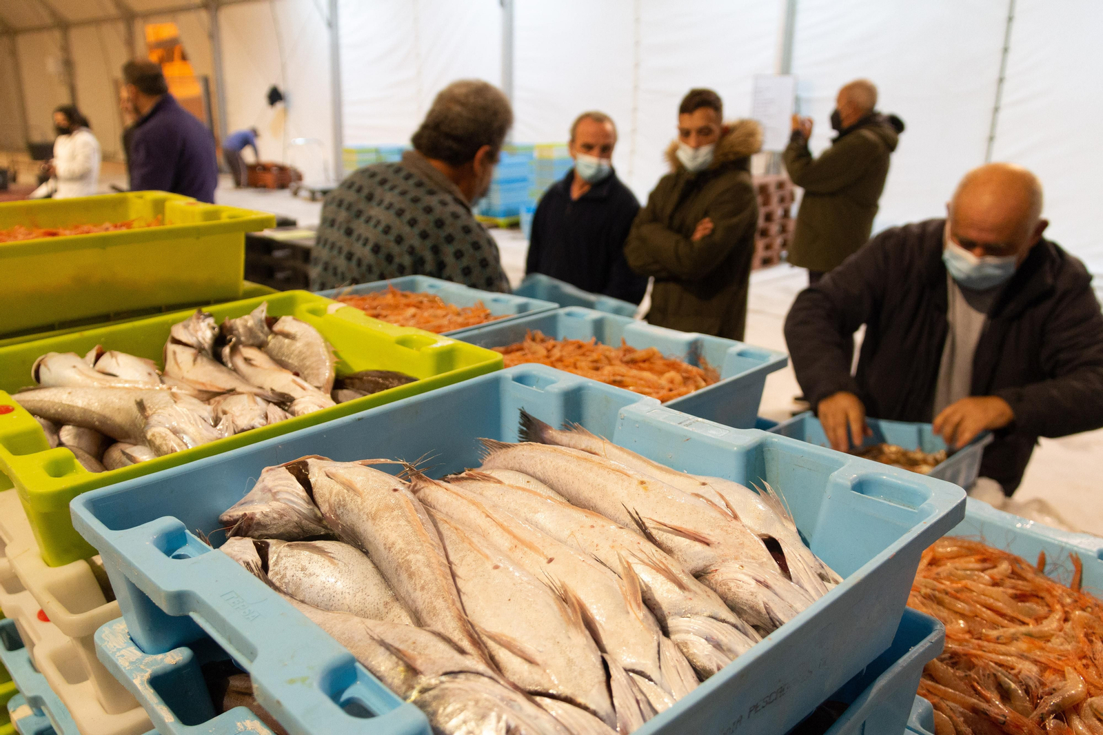 El pescado fresco vuelve a la lonja de Motril aunque no se descartan nuevas paralizaciones