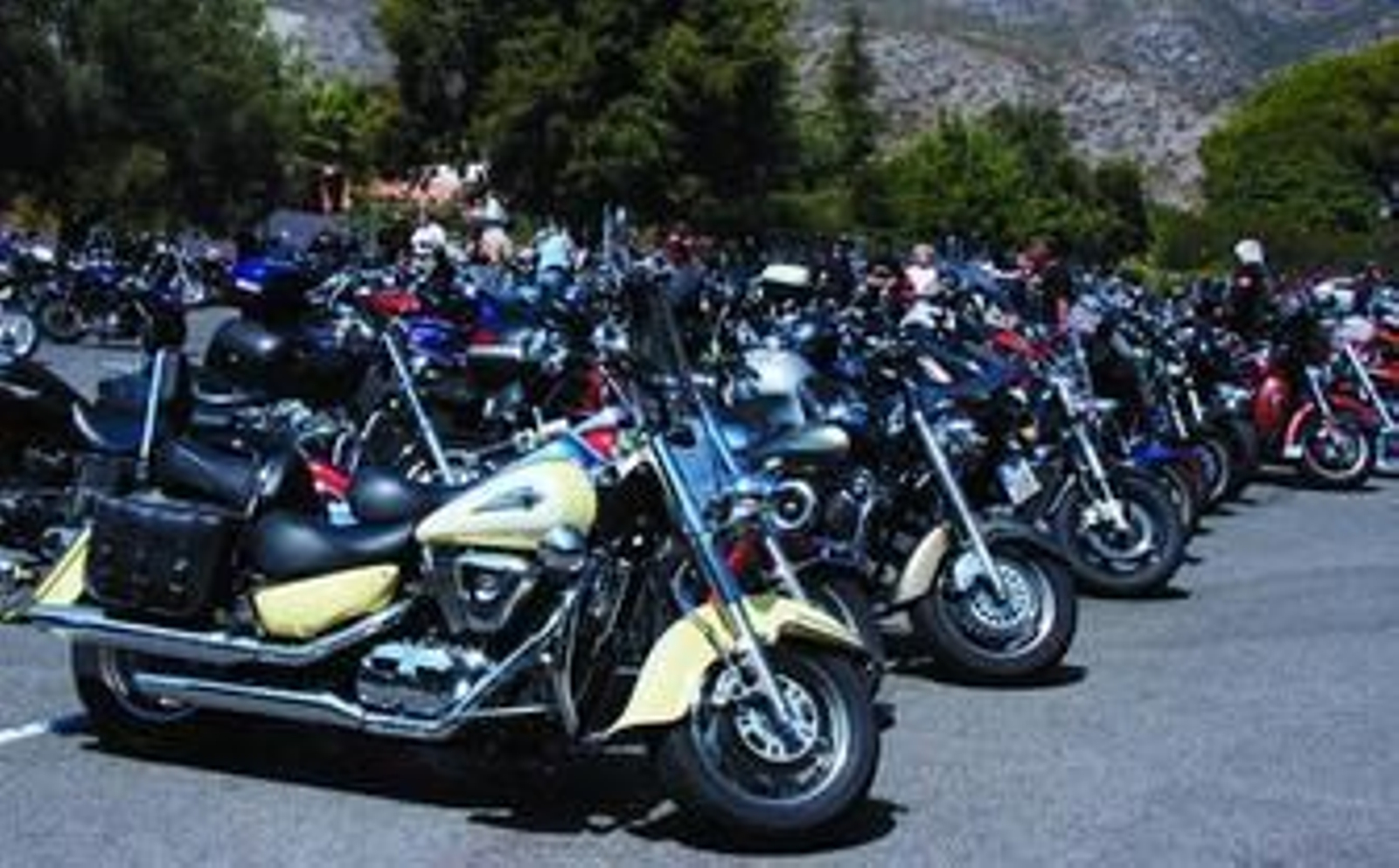 Los organizadores aseguran que el número de participantes se ha duplicado.