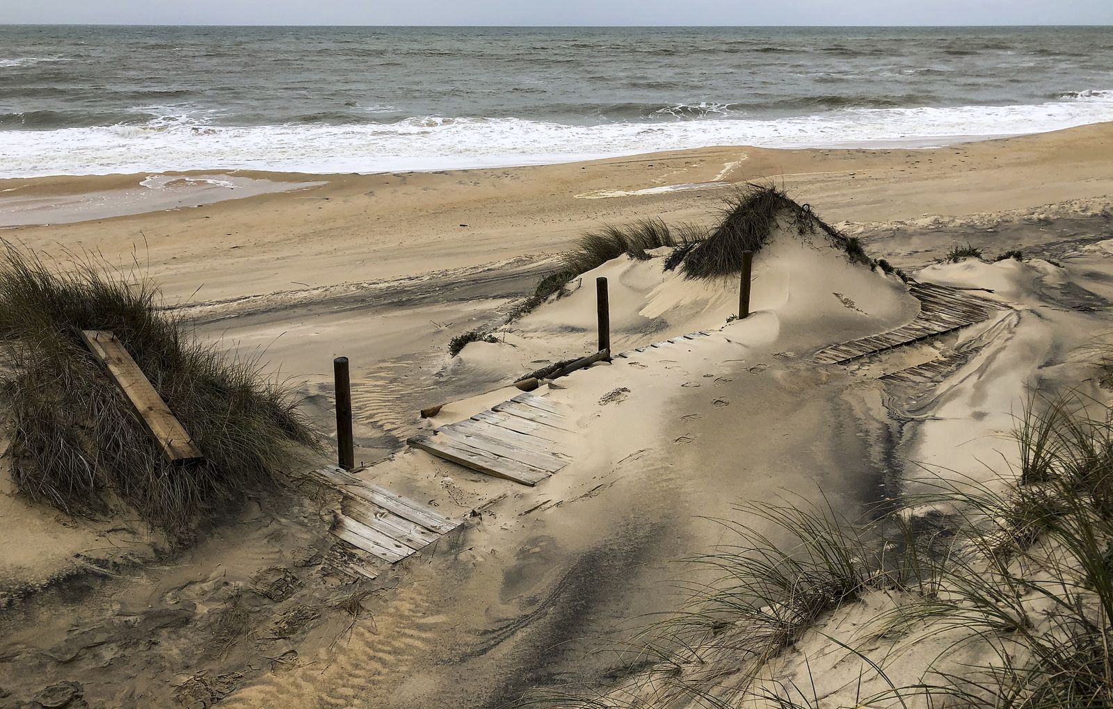 El resurgir de Doñana: tres años después del incendio