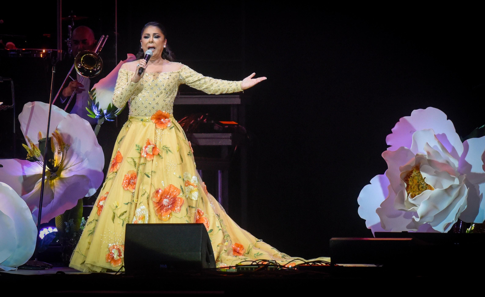 Las imágenes del concierto de Isabel Pantoja