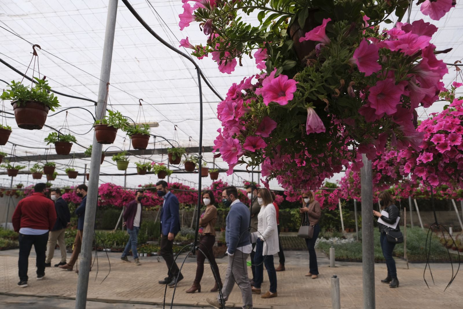 Fotogalería de la visita al vivero municipal de Almería.