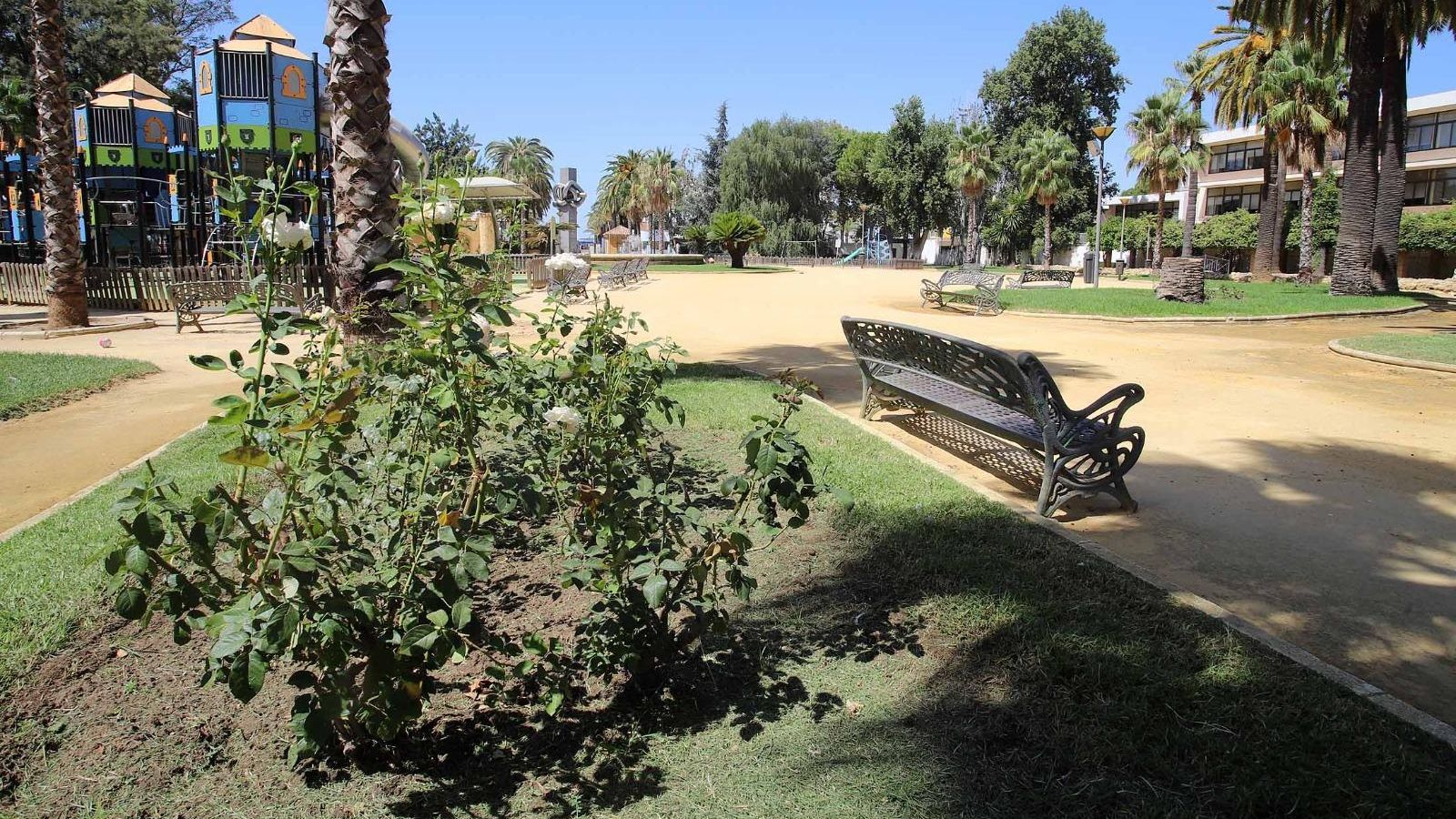 Vegetación en Huelva en un caluroso día de este verano 2023.