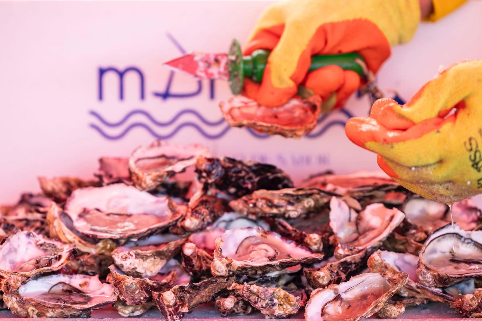 Imágenes de la Ostionada este domingo en San Antonio