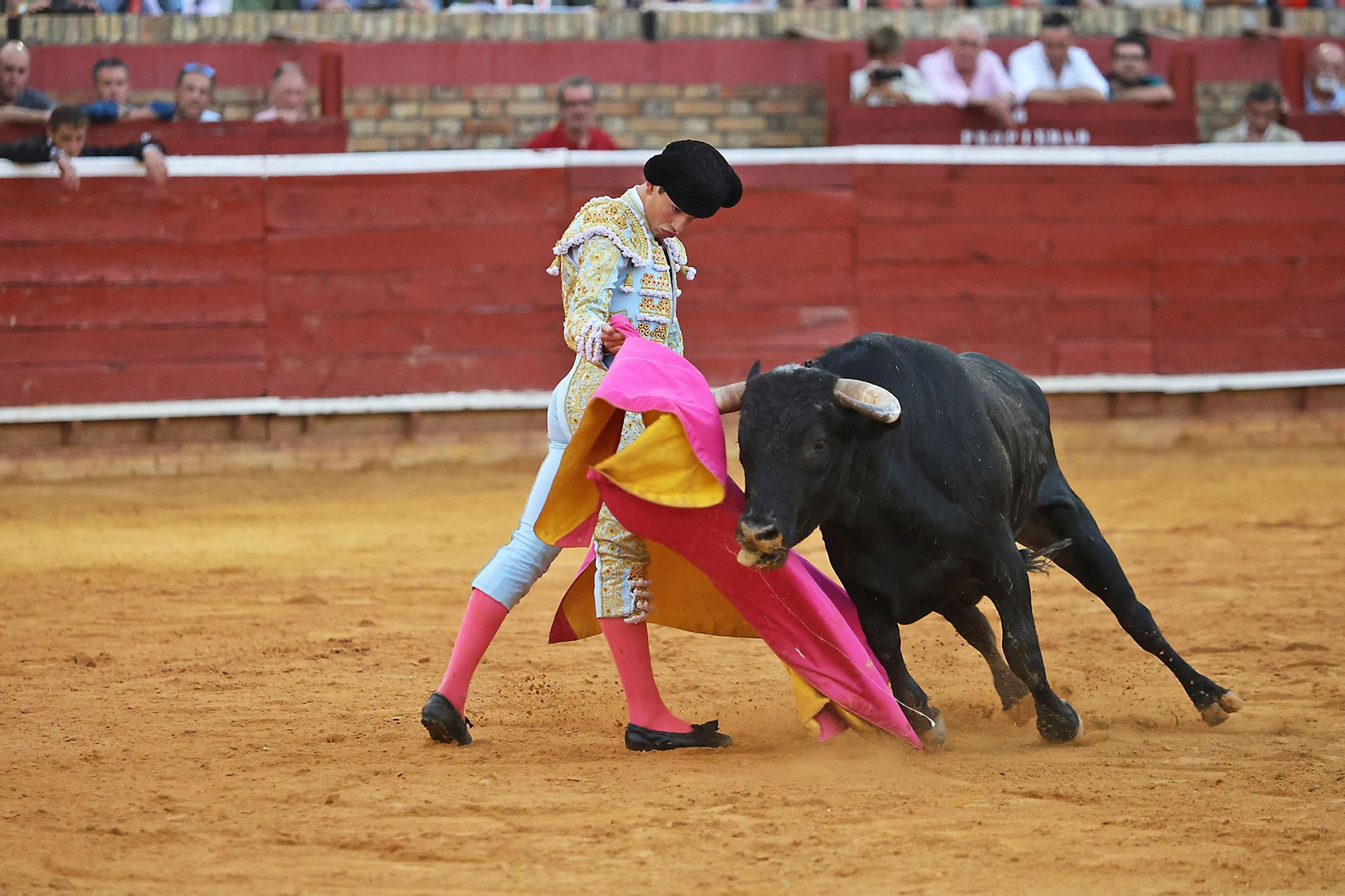 Toros La Merced 2024 Novillada con picadores(