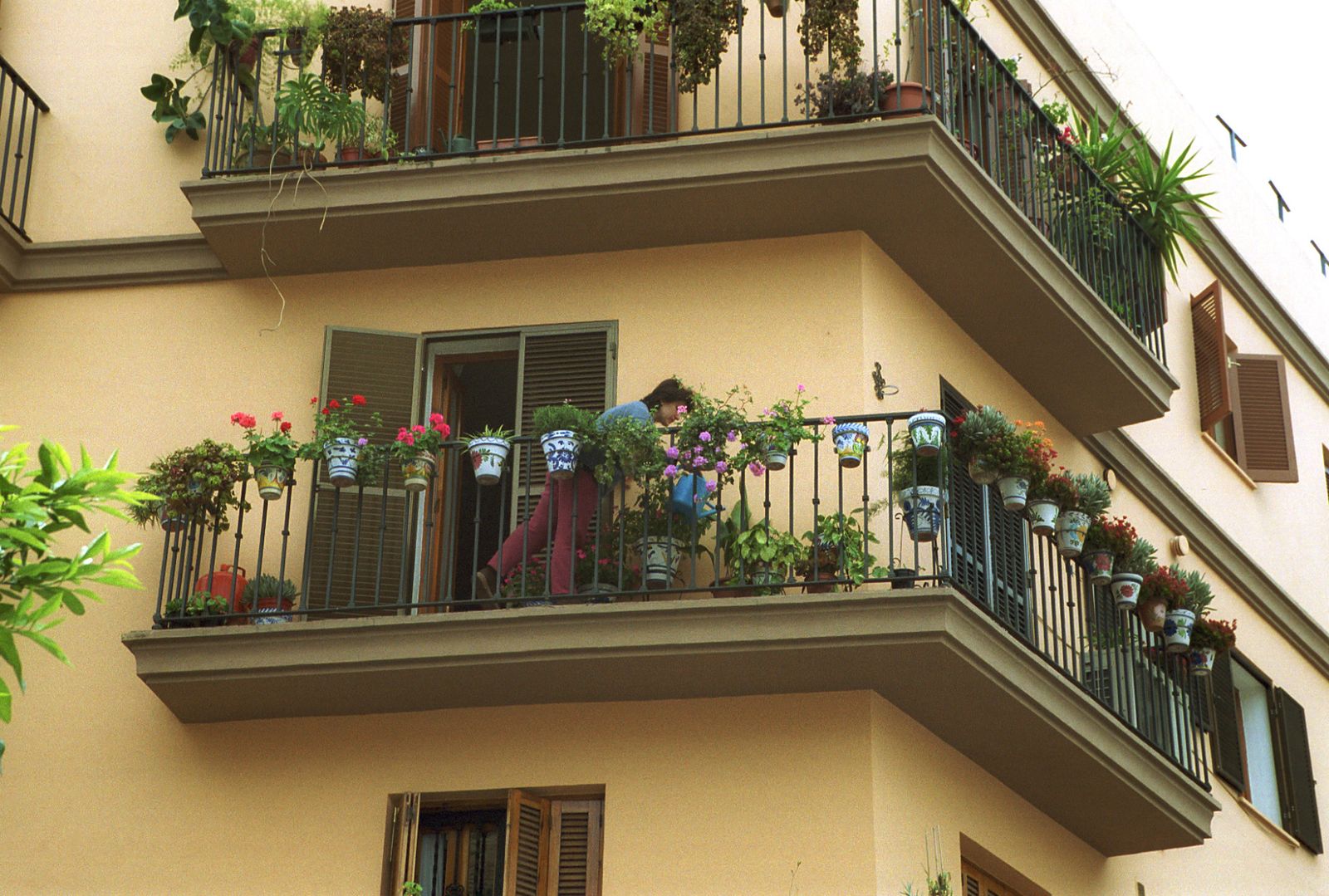 Una mujer riega las plantas en unas viviendas de la Plaza de San Lorenzo.
