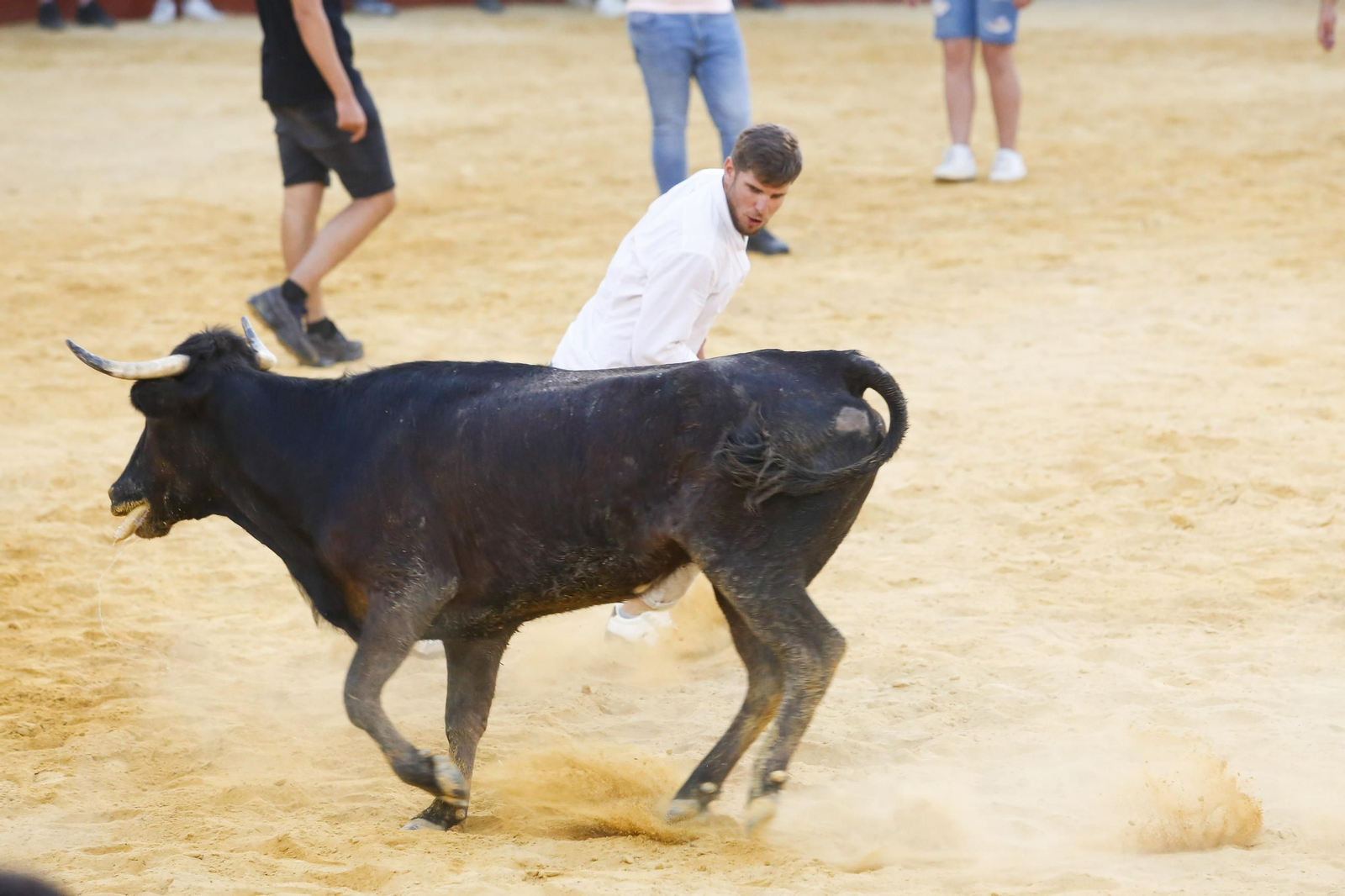 Fotos del Toro del Aguardiente en San Roque