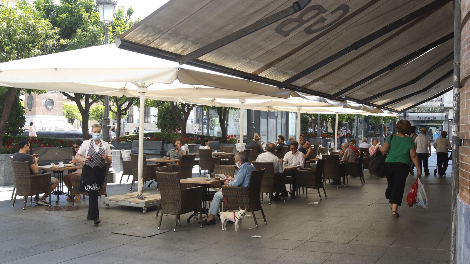 Terraza del Gran Bar, en la plaza de las Tendillas.