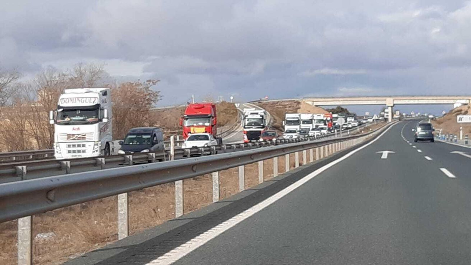 Más de una decenas de cabezas tractoras se han unido en la autovía Baza- Granada