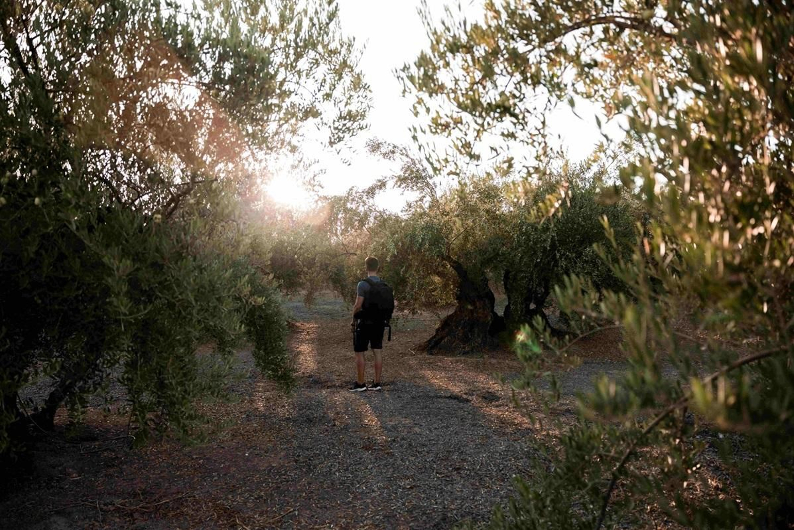 Estos son los municipios jienenses por los que discurre el Camino Mozárabe de Jaén